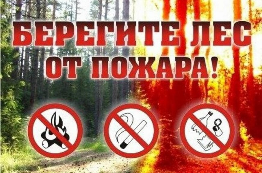 Единый день &amp;quot;Профилактики возникновения лесных пожаров&amp;quot;.